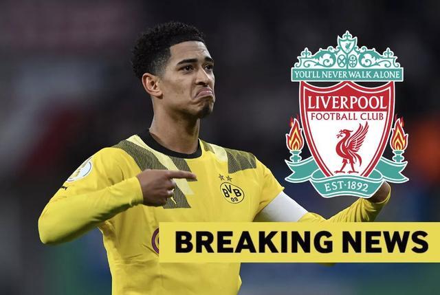 CBA季后赛前瞻：辽宁男篮争夺冠军,（CBA季后赛展望：辽宁男篮剑指总冠军）